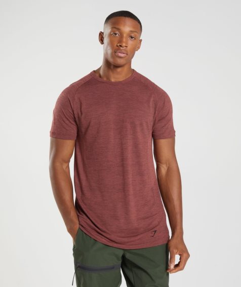 Men's Gymshark Retake Seamless T-Shirts Rose | CA N36D18